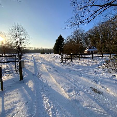Vakantiewoning Heidebos In Het Nationaal Park Hoge Kempen Opglabbeek Dış mekan fotoğraf