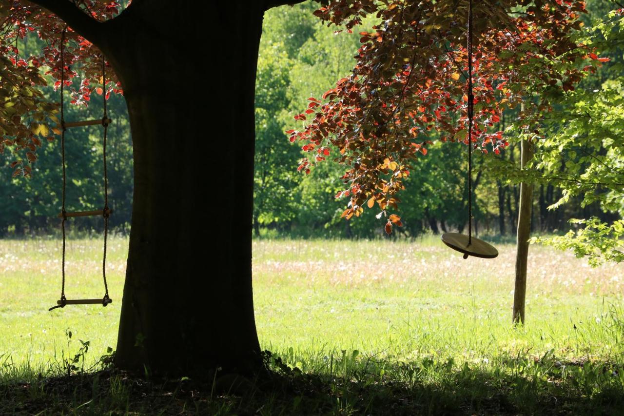 Vakantiewoning Heidebos In Het Nationaal Park Hoge Kempen Opglabbeek Dış mekan fotoğraf