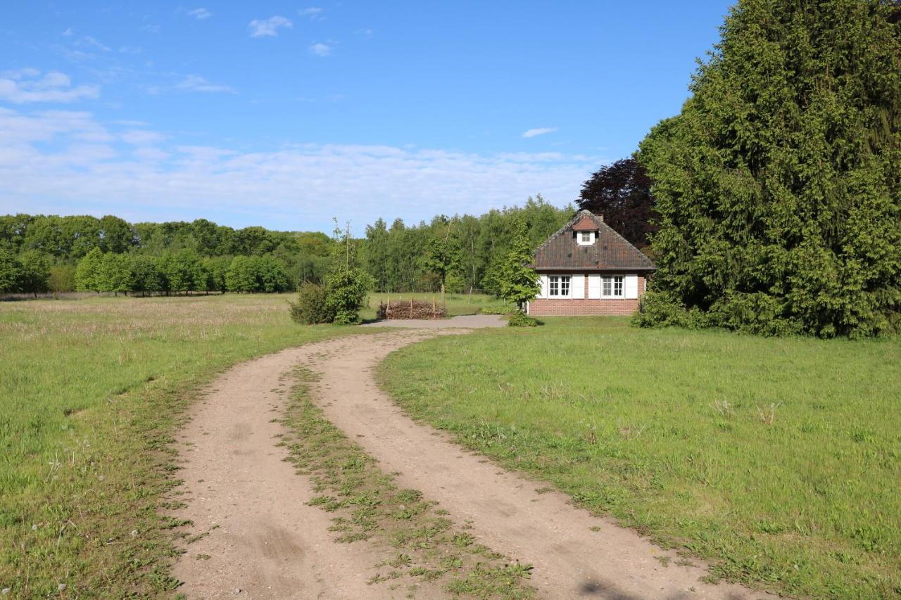 Vakantiewoning Heidebos In Het Nationaal Park Hoge Kempen Opglabbeek Dış mekan fotoğraf