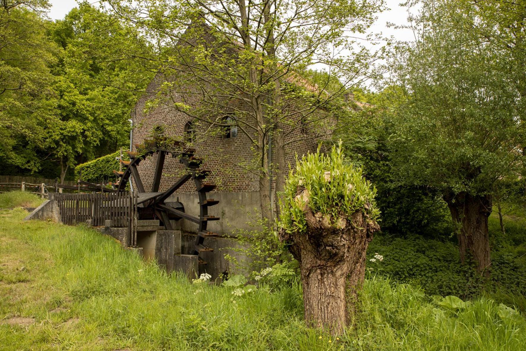 Vakantiewoning Heidebos In Het Nationaal Park Hoge Kempen Opglabbeek Dış mekan fotoğraf