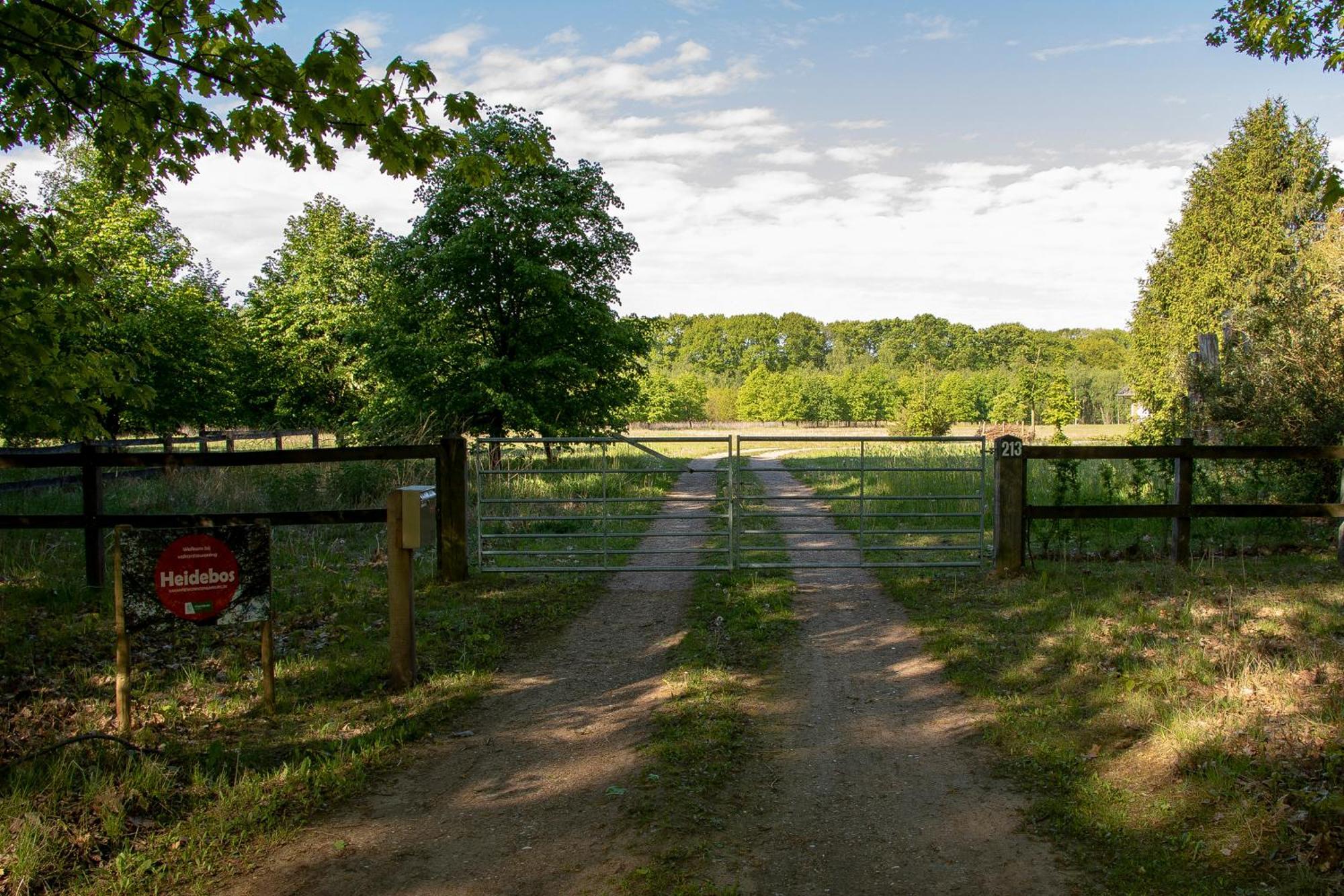 Vakantiewoning Heidebos In Het Nationaal Park Hoge Kempen Opglabbeek Dış mekan fotoğraf
