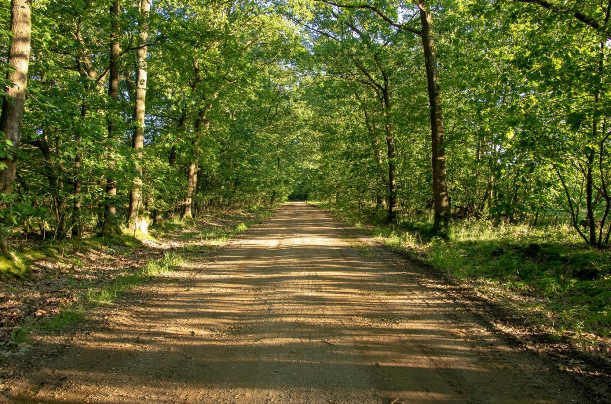 Vakantiewoning Heidebos In Het Nationaal Park Hoge Kempen Opglabbeek Dış mekan fotoğraf