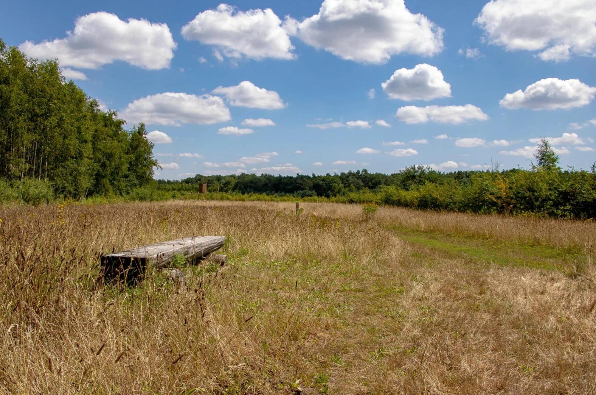 Vakantiewoning Heidebos In Het Nationaal Park Hoge Kempen Opglabbeek Dış mekan fotoğraf