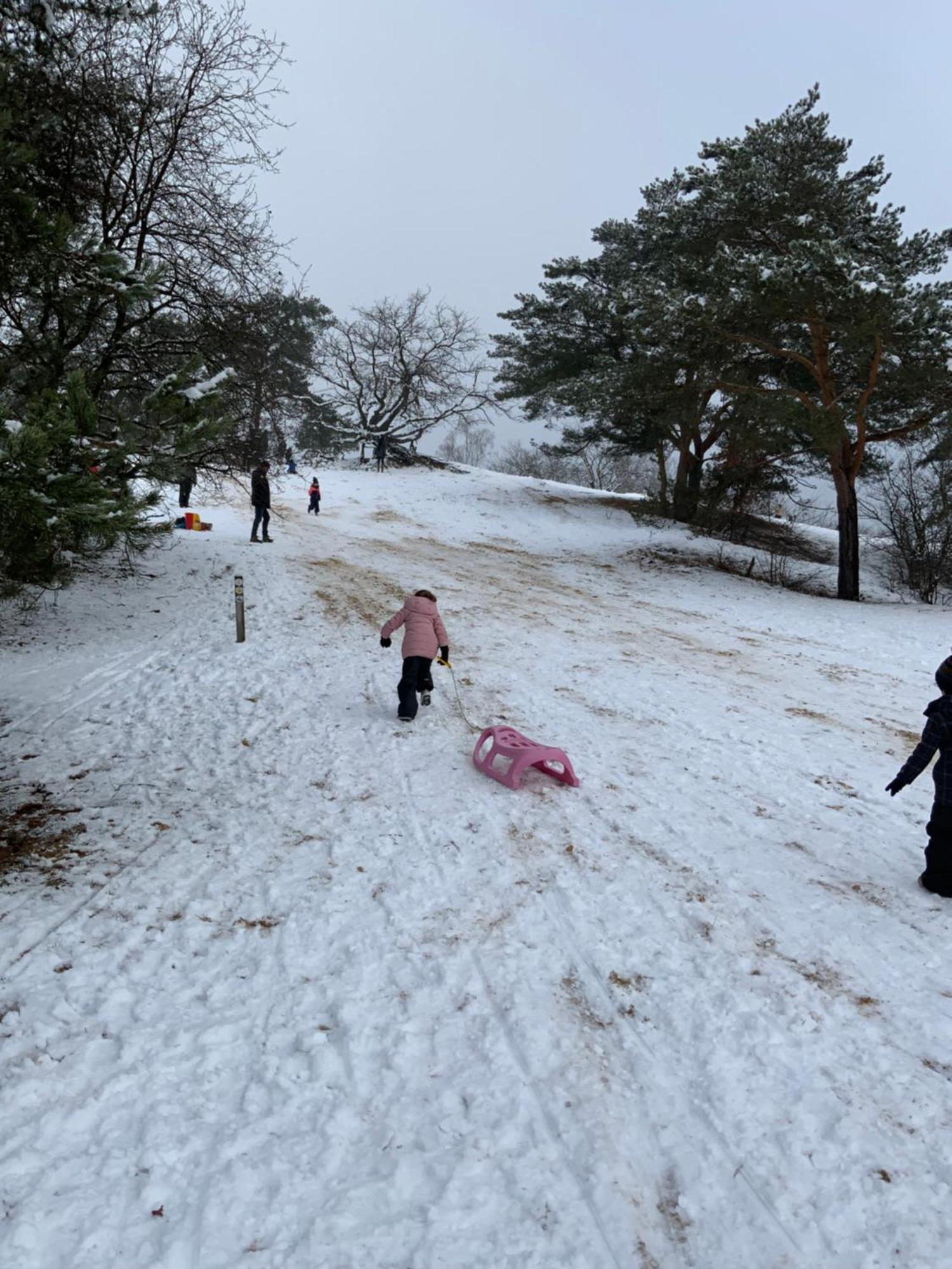 Vakantiewoning Heidebos In Het Nationaal Park Hoge Kempen Opglabbeek Dış mekan fotoğraf