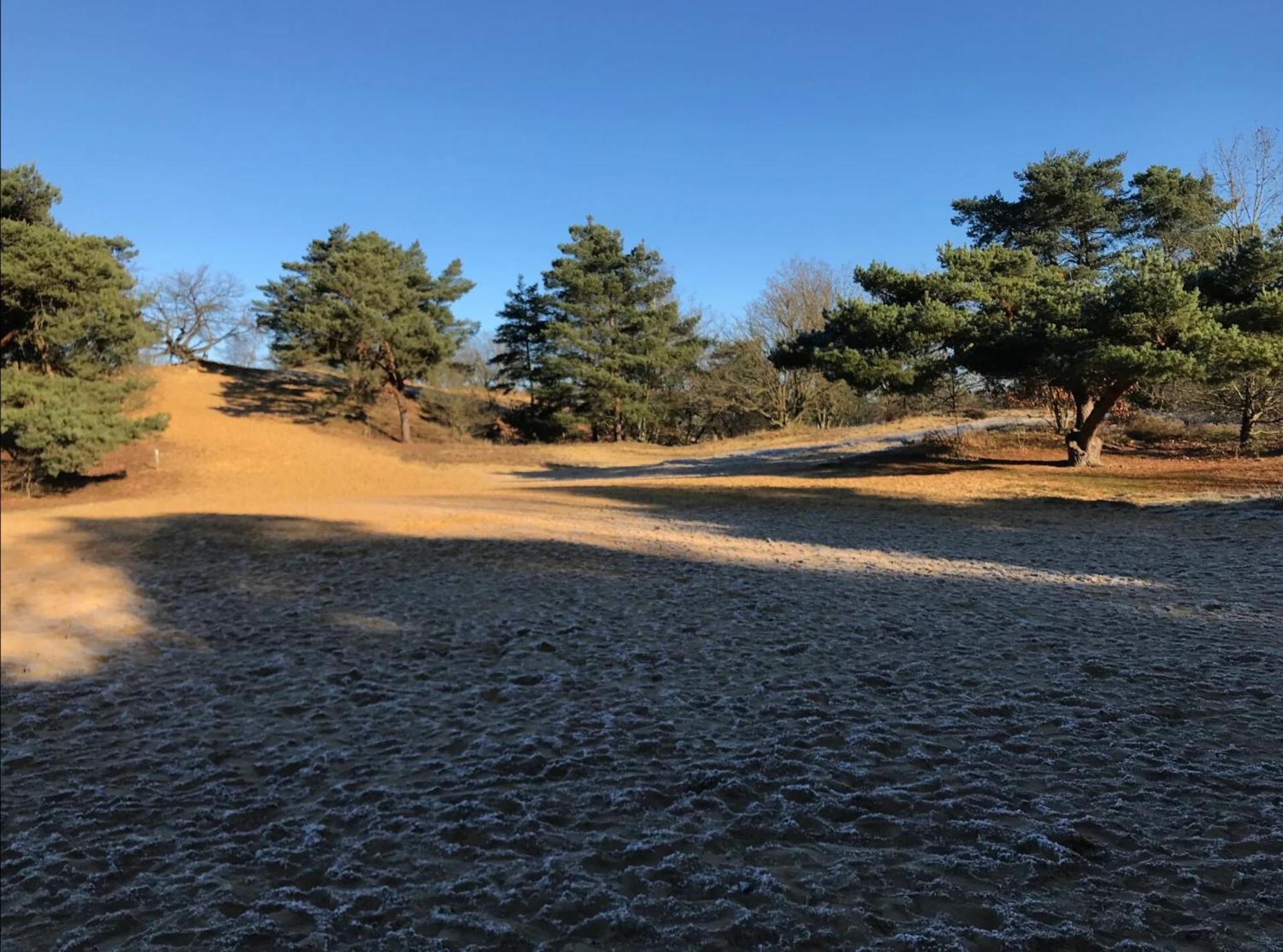 Vakantiewoning Heidebos In Het Nationaal Park Hoge Kempen Opglabbeek Dış mekan fotoğraf