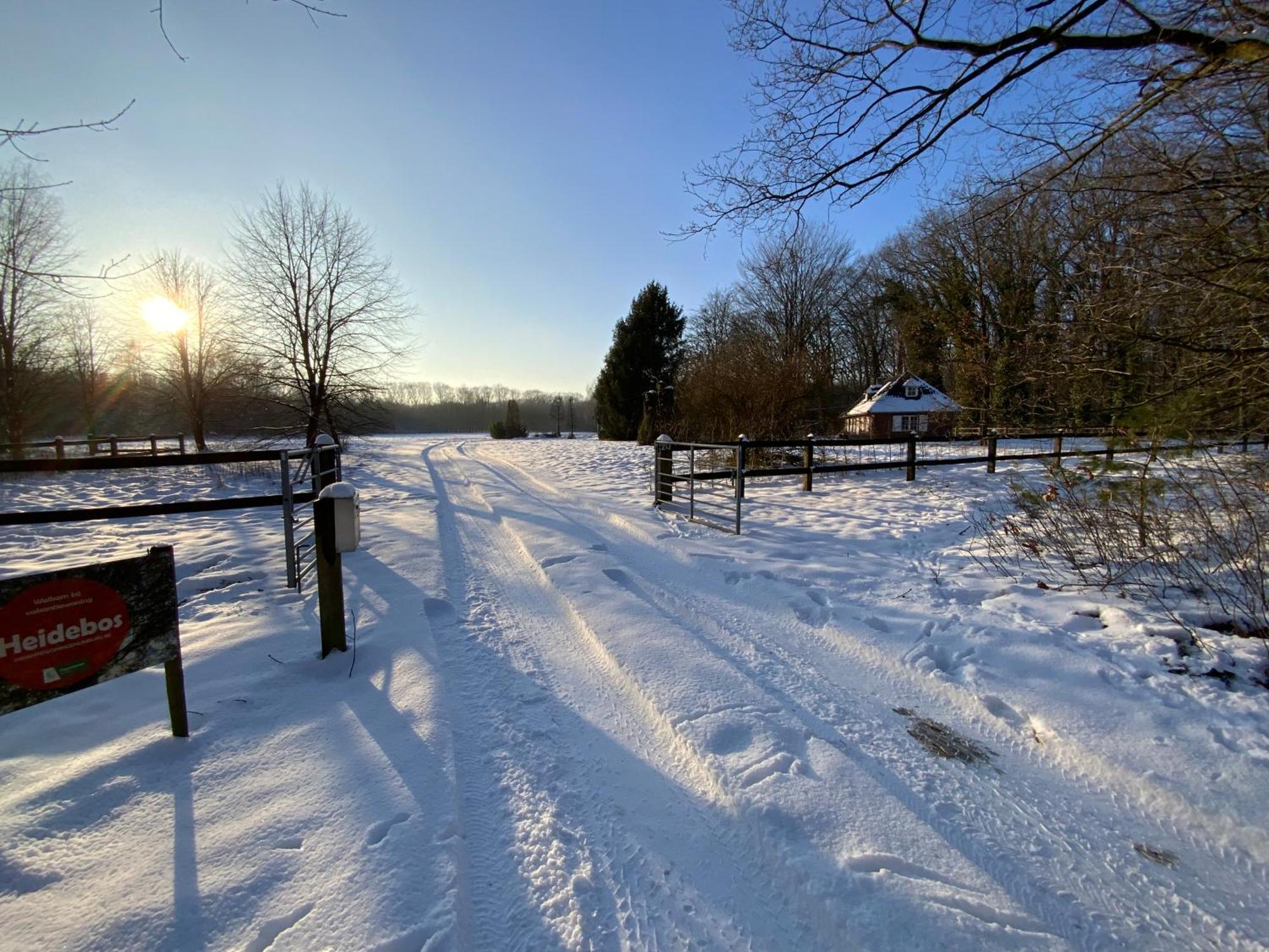 Vakantiewoning Heidebos In Het Nationaal Park Hoge Kempen Opglabbeek Dış mekan fotoğraf