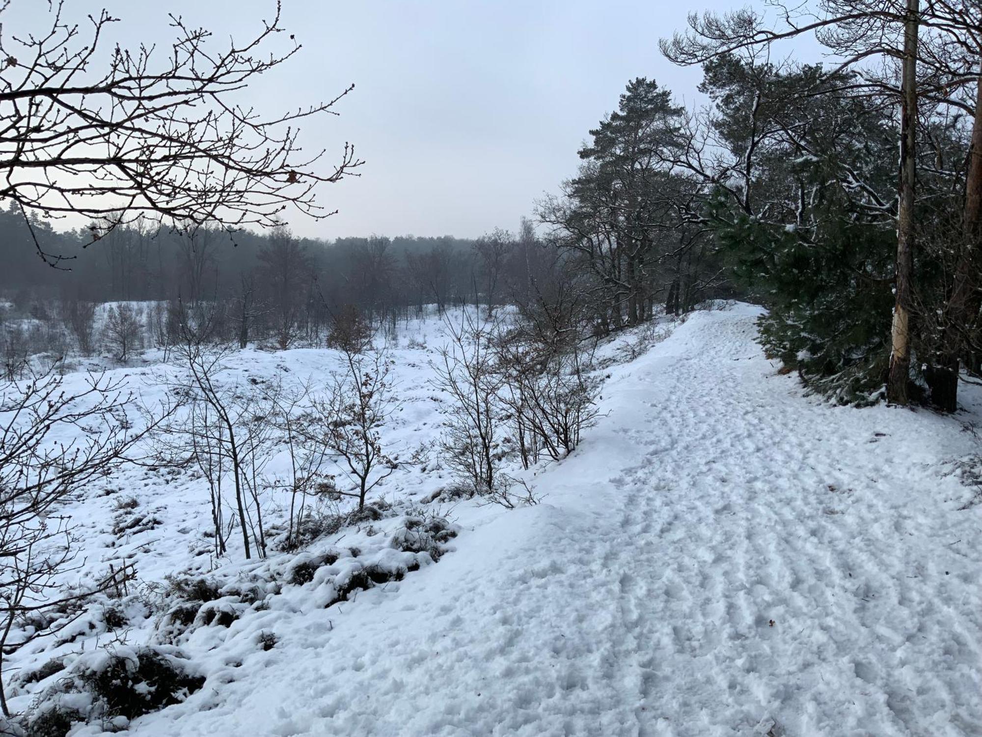Vakantiewoning Heidebos In Het Nationaal Park Hoge Kempen Opglabbeek Dış mekan fotoğraf